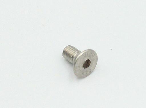 Bolt M5x10 mm, rustfri stål (A4)